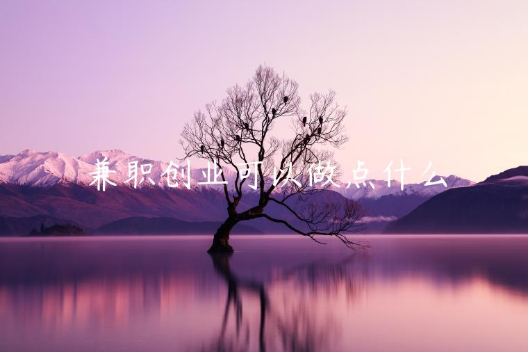 兼職創(chuàng)業(yè)可以做點(diǎn)什么